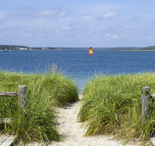 Ferry Beach, Photo Credits: Serena Folding