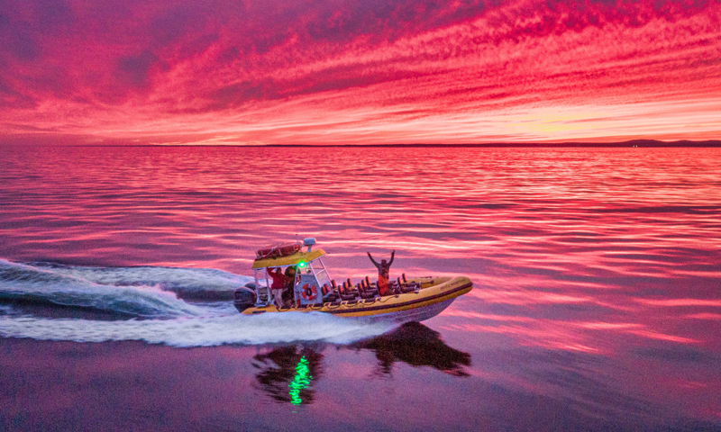 Tour Boat. Photo Provided by New England Eco Adventures