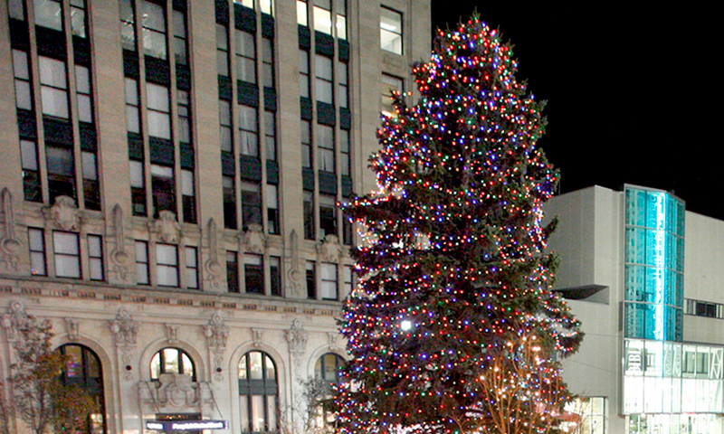 Monument Square Holiday tree, Photo Credit: Tim Greenway Monument Square Holiday tree, Photo Credit: Tim Greenway